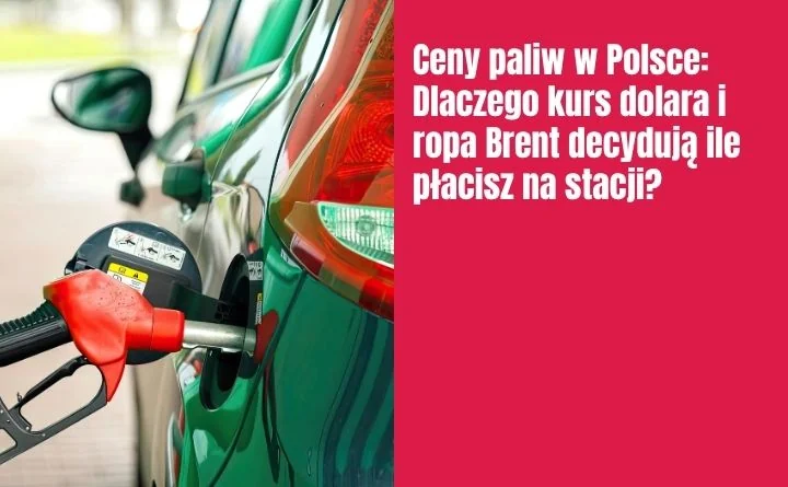 Obraz do artykułu: Ceny paliw w Polsce: Dlaczego kurs dolara i ropa Brent decydują ile płacisz na stacji?