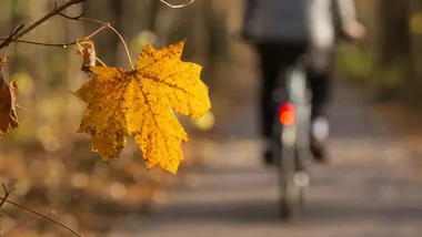 Jesienna jazda rowerem - te zasady dotyczą każdego cyklisty