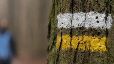 Cztery wzgórza i jedna trasa. Nowy szlak prowadzi przez Brzezie