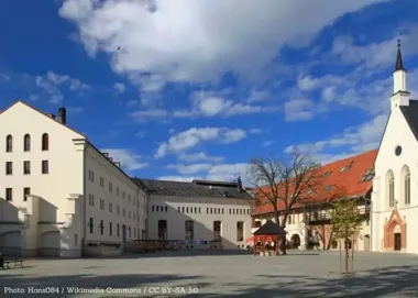 Firmy i służby zmierzyły się w XIII turnieju siatkarskim o Puchar Prezydenta