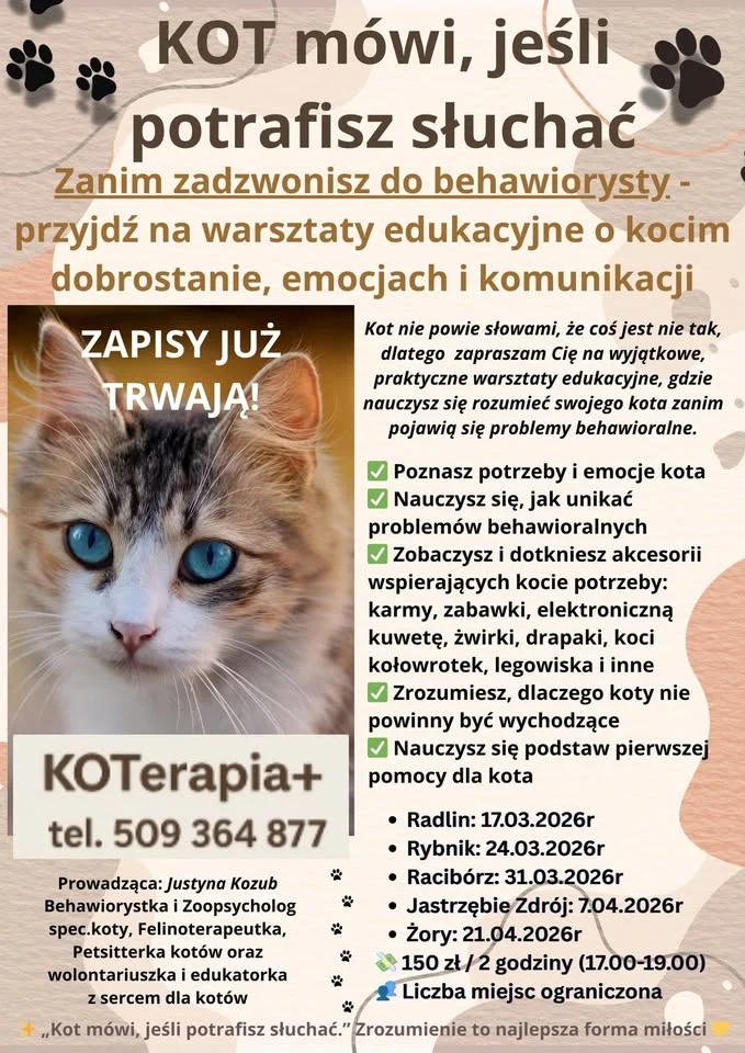 Grafika promocyjna wydarzenia KOT mówi, jeśli potrafisz słuchać - warsztaty w Raciborzu