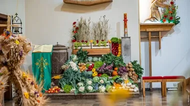 Płonia zamieniła dożynki w święto całej dzielnicy. Za rok gospodarzem będą Ocice