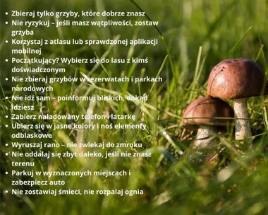 Zgubienie drogi w lesie nie musi oznaczać chaosu. Ważny numer