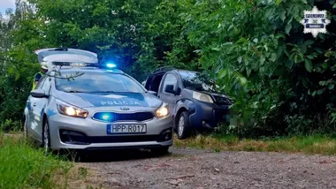 42-latek z córką uderzył w drzewo. Miał 0,4 promila
