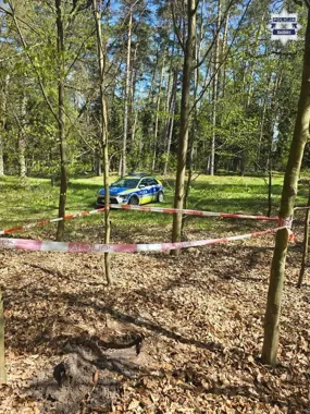 Dwa pociski z II wojny światowej w lesie pod Raciborzem