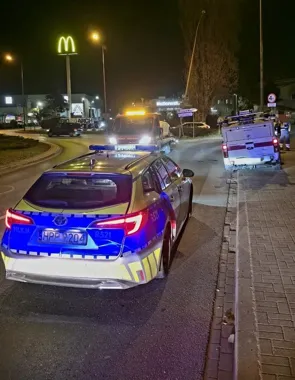 Skoda zakończyła jazdę na latarni - kierująca miała 2 promile